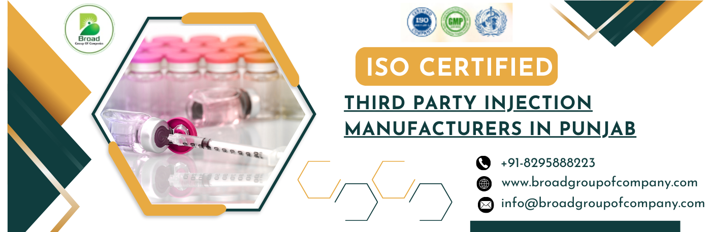 ISO Certified Third Party Injection Manufacturers in Punjab
